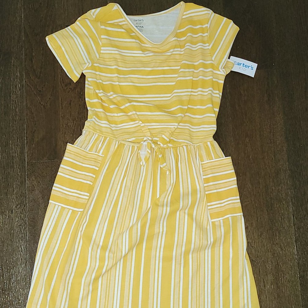 NWT Carters kids dress